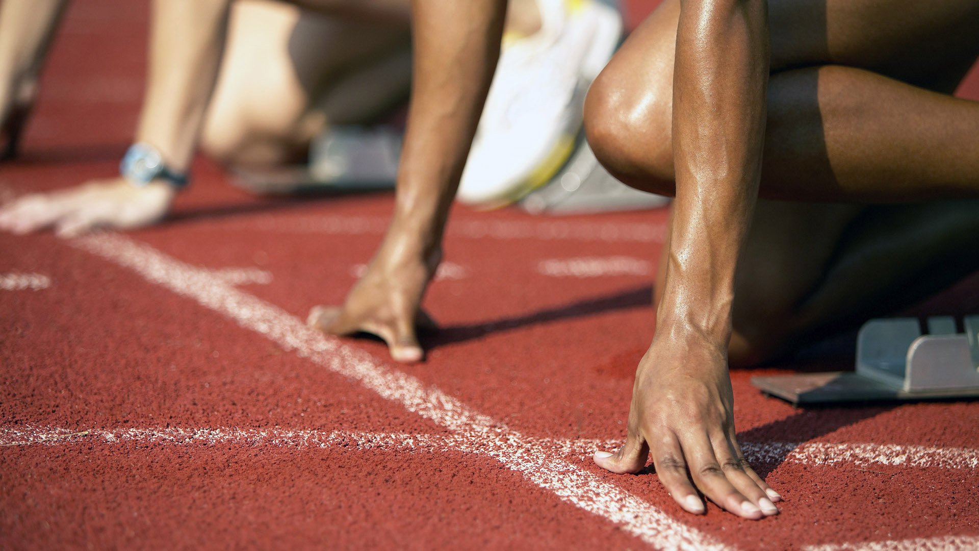 中国男排新帅上任 目标锁定2026年亚洲杯冠军