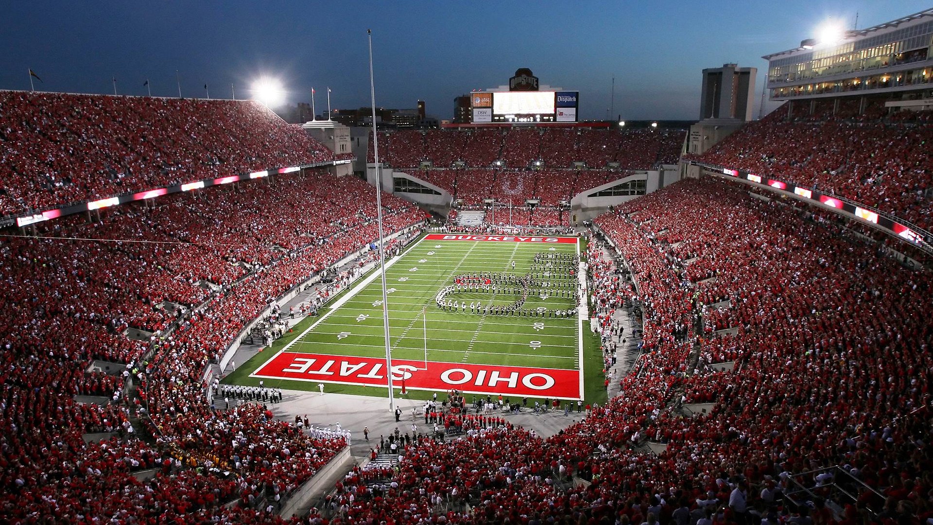 水下摄影短片赛 潜水爱好者记录珊瑚与鱼群